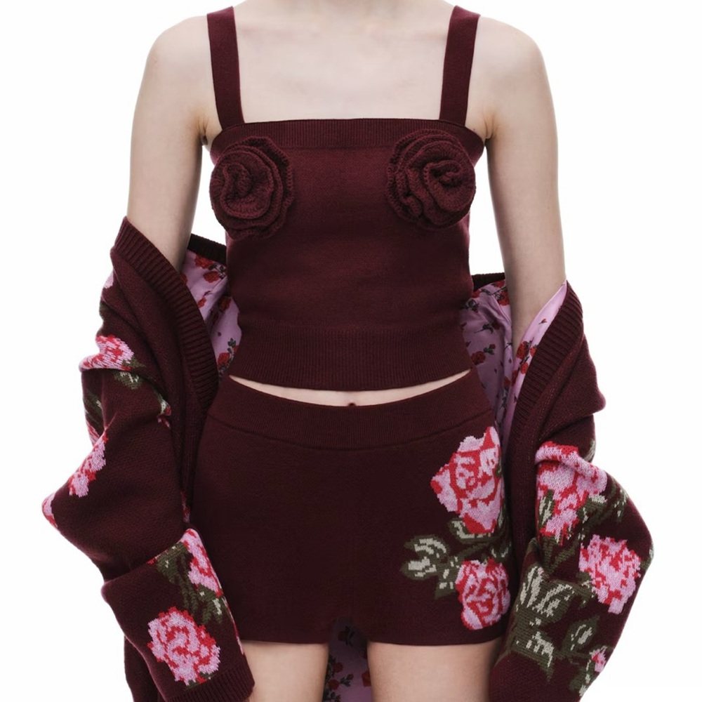 Magda Butrym x H&M SET, NWT  romantic dreamy